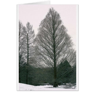 Cartão Árvore - monte NYC da onda