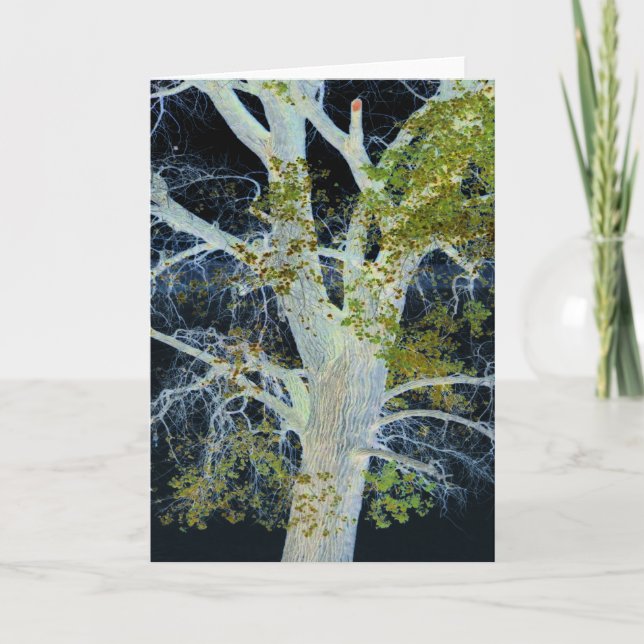 Cartão "Árvore Noturna" Imagem alterada Digitalmente de Á (Frente)