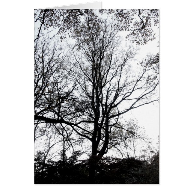 Cartão Árvore quase estéril atrasada B&W do outono do (Frente)
