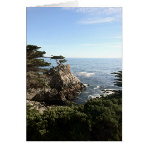 Cartão Árvore solitária