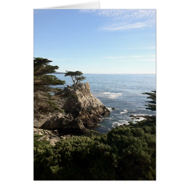 Cartão Árvore solitária (Frente)