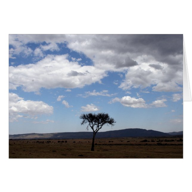 Cartão árvore solo (Frente Horizontal)