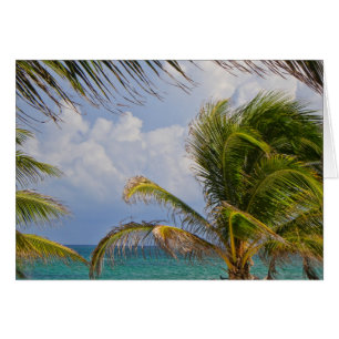 Cartão Árvore Tropical Palm Framada