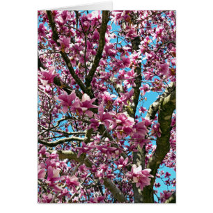 Cartão Árvore Tulip