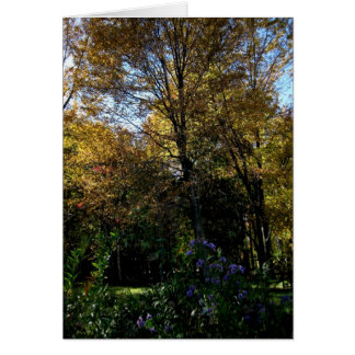 Cartão Árvore vazio_Mauve