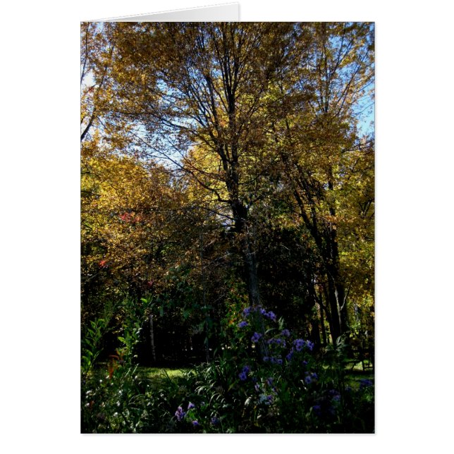 Cartão Árvore vazio_Mauve (Frente)