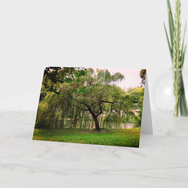 Cartão Árvore verde (Frente)