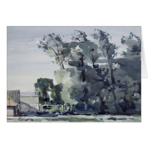 Cartão Árvores - alvorecer