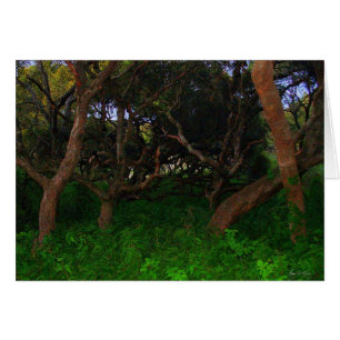 Cartão Árvores Arborizadas