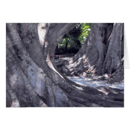Cartão Árvores Banyan