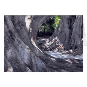 Cartão Árvores Banyan