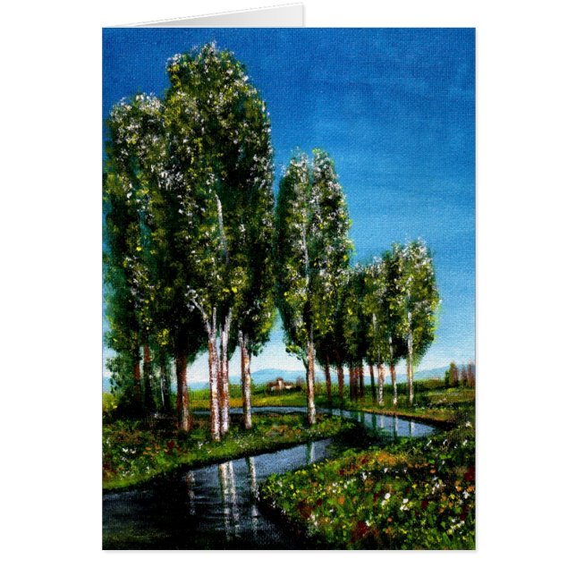 CARTÃO ÁRVORES BIRCH NA TOSCANA (Frente)