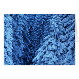Cartão árvores cobertas de neve