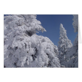Cartão Árvores coníferas revestidas de neve