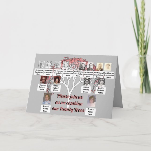 Cartão Árvores da Família Fotográfica, Cinzas de Árvore F (Frente)