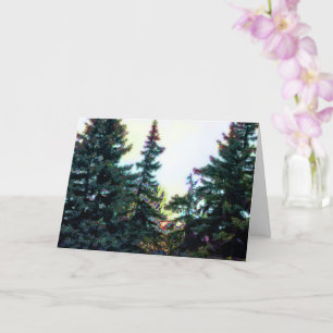 Cartão Árvores da Floresta Boreal Canadá Artístico Colori