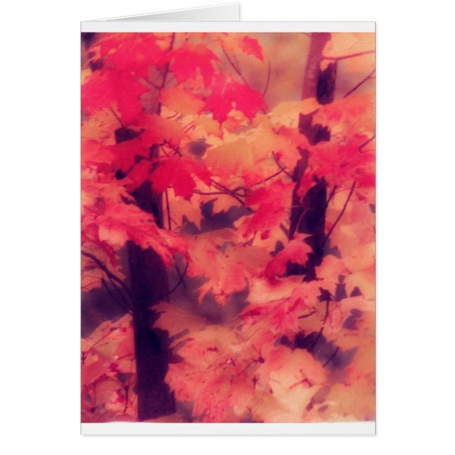 Cartão Árvores de bordo na queda (Frente)