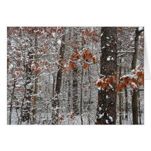 Cartão Árvores de carvalho cobertas por neve Fotografia 