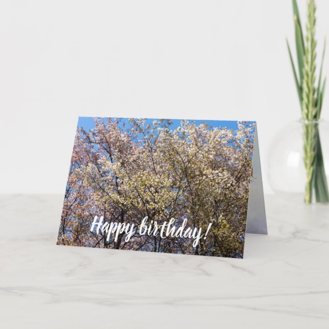 Cartão Árvores De Cereja Em Sangue De Cheio Num Dia Quent (Frente)