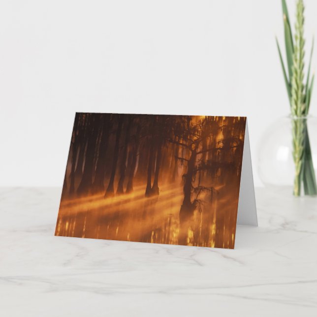 Cartão Árvores de Impressão | Parque Estadual George Smit (Frente)