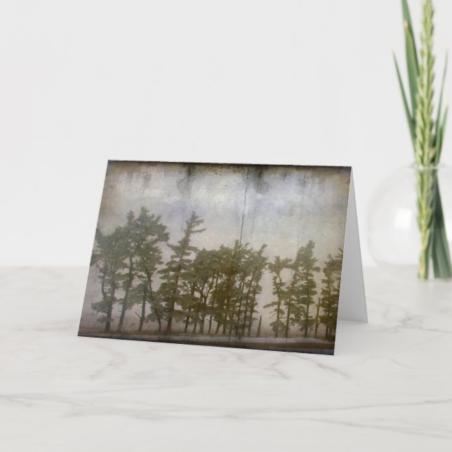 Cartão Árvores de inverno (Frente)