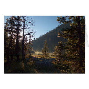 Cartão Árvores de pinheiro Fosco suniluminadas no lago de