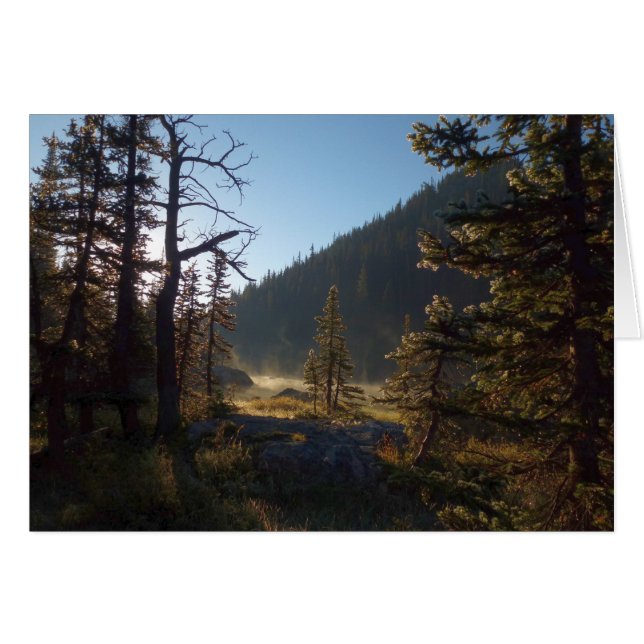 Cartão Árvores de pinheiro Fosco suniluminadas no lago de (Frente Horizontal)