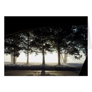 Cartão Árvores do inverno do carro