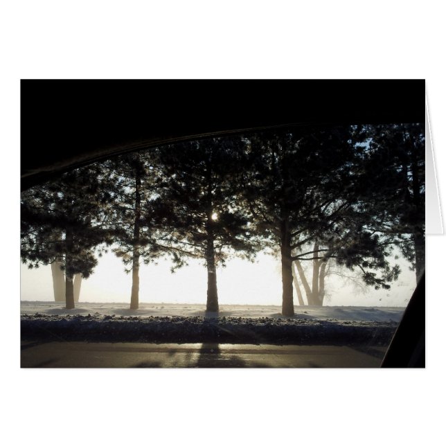 Cartão Árvores do inverno do carro (Frente Horizontal)