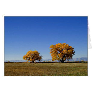 Cartão Árvores douradas