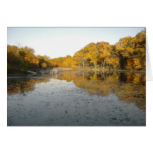 Árvores e lagoa douradas