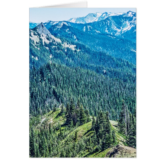 Cartão Árvores e seringas (Frente)