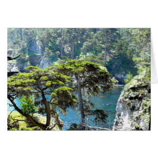 Cartão Árvores em Point Lobos