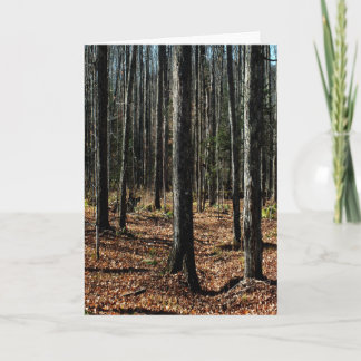 Cartão Árvores no outono tardio: Floresta Digitalmente Tr