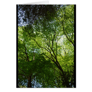 Cartão Árvores ocas sonolentas