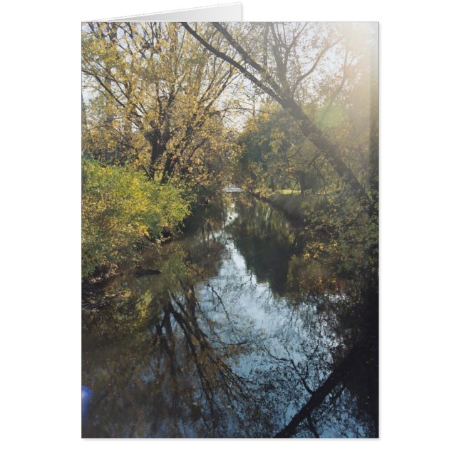 Cartão Árvores Refletoras de Água (Frente)