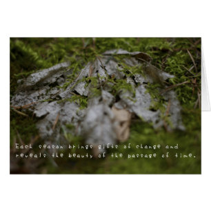 Cartão As aventuras surpreendentes de Amelia