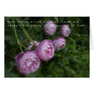 Cartão As aventuras surpreendentes de Amelia