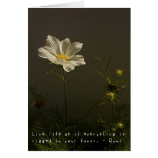 Cartão As aventuras surpreendentes de Amelia