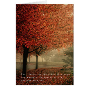 Cartão As aventuras surpreendentes de Amelia