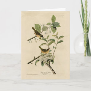 Cartão As Aves da América de Audubon, um Warbler Amarelo