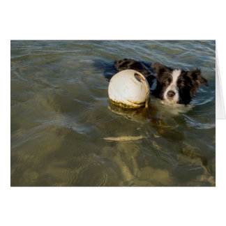 Cartão As bolas de tênis são para os fracos!