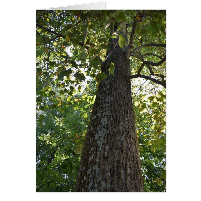 Cartão As coisas estão olhando para cima! (Frente)