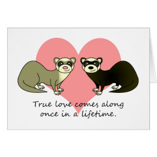 Cartão As doninhas bonitos rectificam o amor