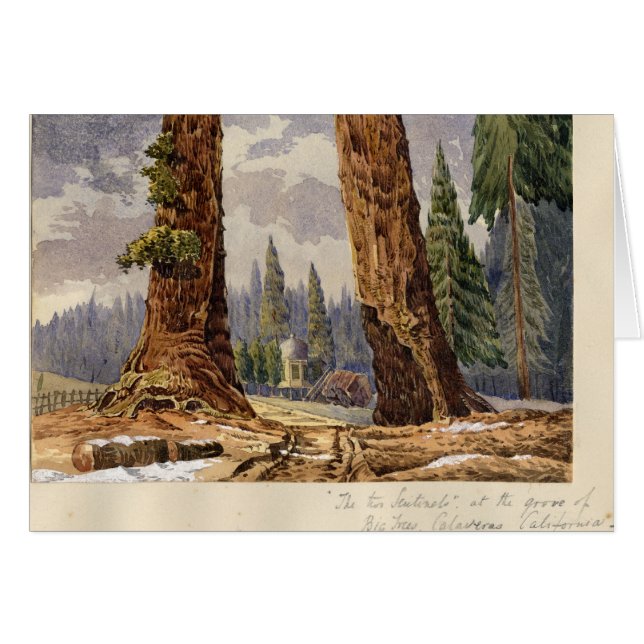 Cartão As duas sentinelas, no bosque de árvores grandes (Frente Horizontal)