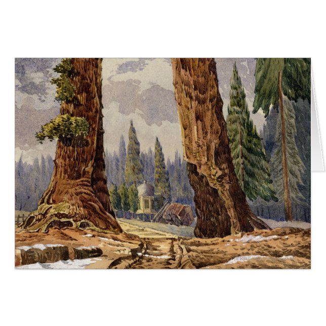 Cartão As duas sentinelas, no bosque de árvores grandes (Frente Horizontal)