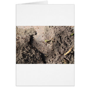 Cartão As formigas vão marchar