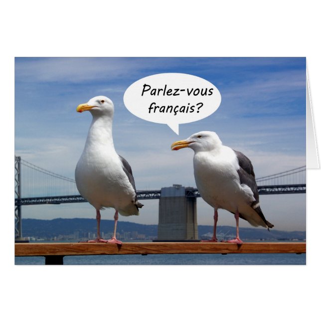 Cartão As gaivotas falam francês (Frente Horizontal)