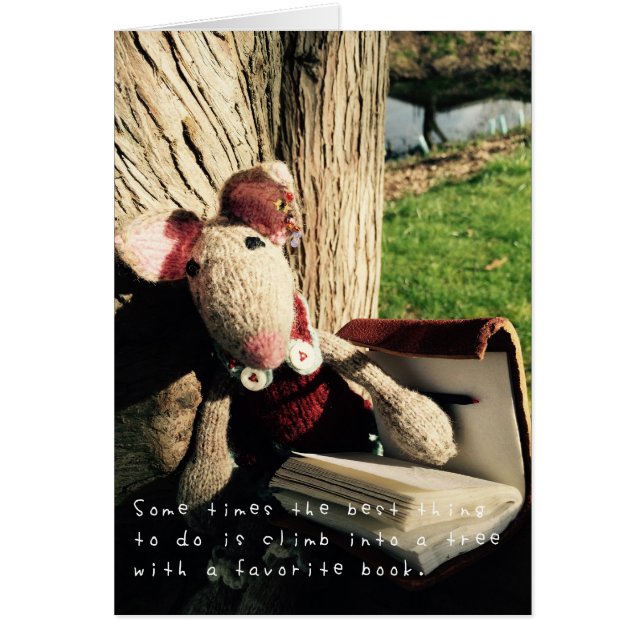 Cartão As incríveis aventuras de Amelia (Frente)