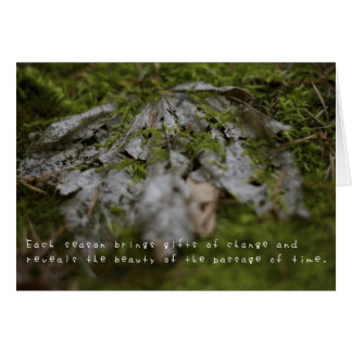 Cartão As incríveis aventuras de Amelia